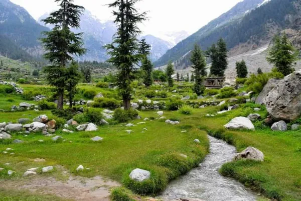 Eid-Holidays-Naran-and-Kaghan-Attract-Domestic-Tourists-Amid-Blossom-of-Flowers