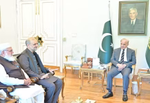 Govt Seeks More Time From JI Over Petroleum Levy Demand